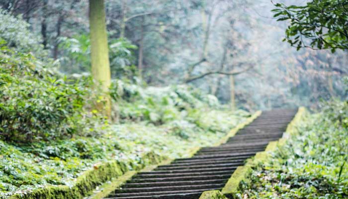 四川峨眉山在哪个市哪个县