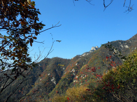 翠华山绚丽秋景