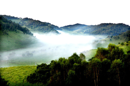 关山牧场