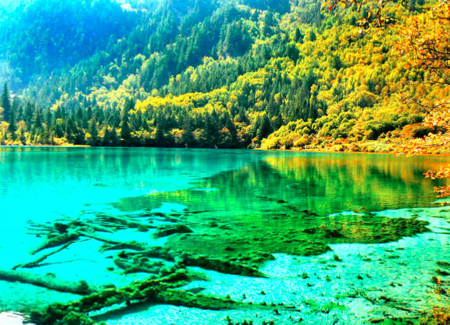 九寨沟门票多少钱,旺季169元/人,淡季80元/人(优惠政策)