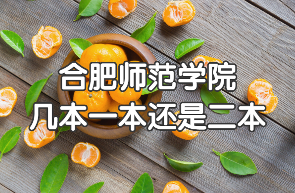 合肥师范学院几本？一本还是二本？（附安徽省本科院校一览表）