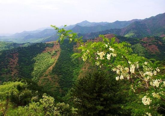 野河山景区 图/大大波波