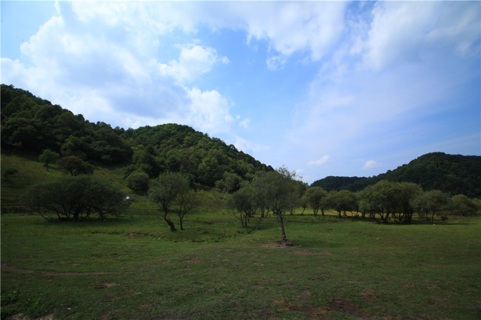 宝鸡大水川：惬意的高山草甸