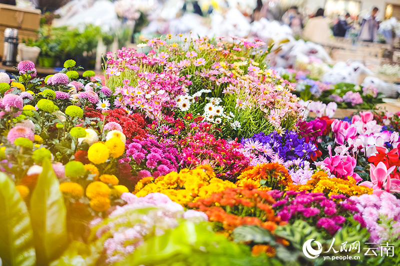 【图3】昆明斗南花卉市场鲜切花常年供不应求。人民网 曾智慧摄