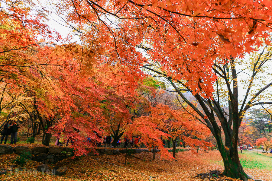 釜山景点