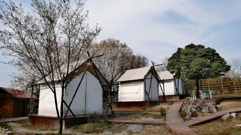 重庆露营基地大全（地点 费用 电话）
