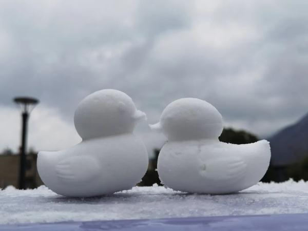 武汉下雪，这周末的气温......