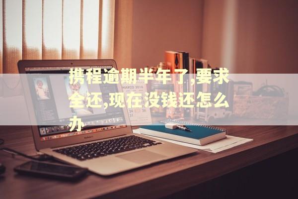 携程逾期半年了,要求全还,现在没钱还怎么办