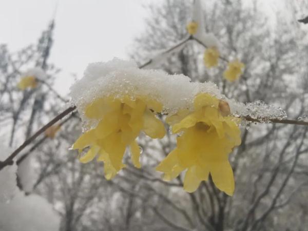 抓紧晒被子 西安新一轮雨雪将至