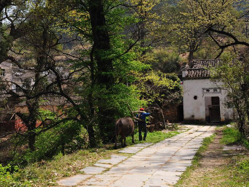 婺源察关村