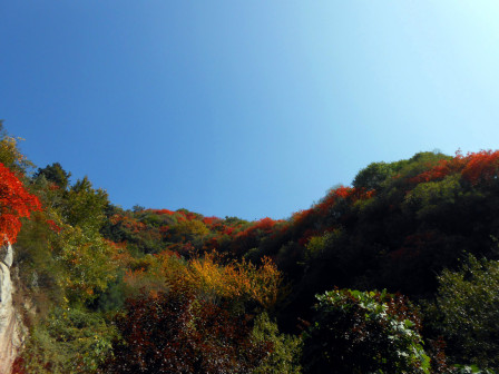 翠华山绚丽秋景