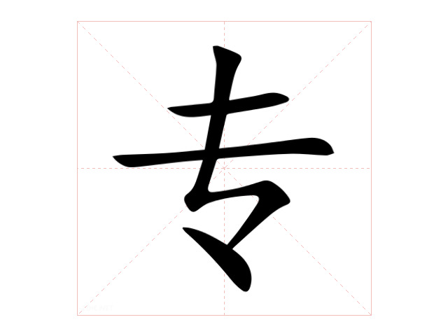 专