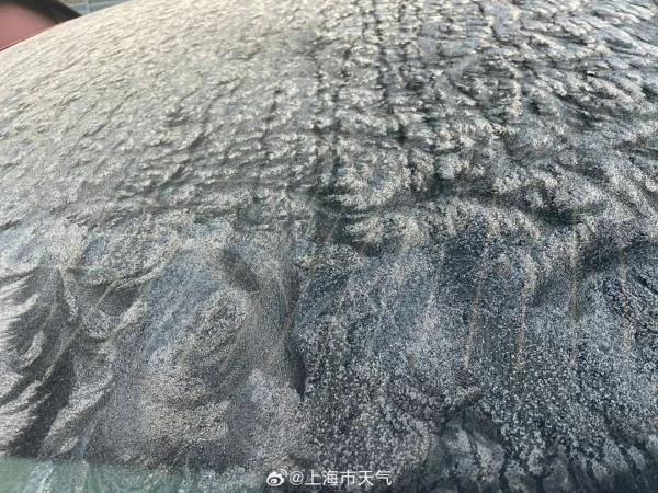 上海今天最高16℃！周日直冲18℃！下周一冷空气来了，气温跌至……