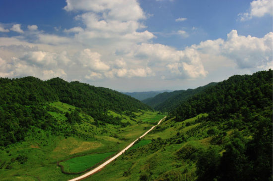关山牧场