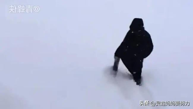 山东威海罕见暴雪，积雪厚度惊呆网友