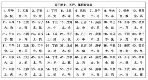 生辰八字与天干地支:命运的密码