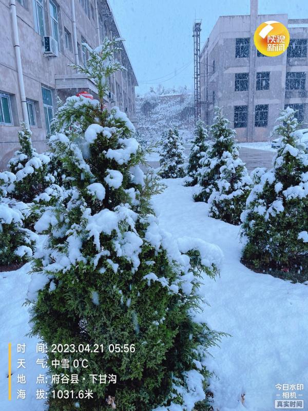 陕西发布最新预报：大雪，局地暴雪！