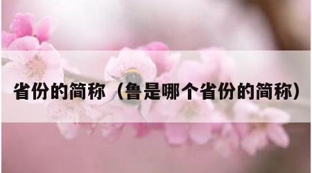 省份的简称（鲁是哪个省份的简称）