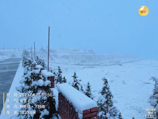 陕西发布最新预报：大雪，局地暴雪！