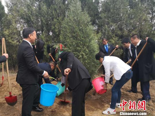图为“侨胞林”植树活动。　阿琳娜 摄