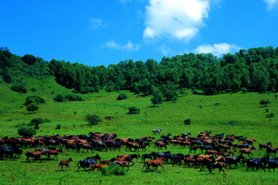 关山牧场