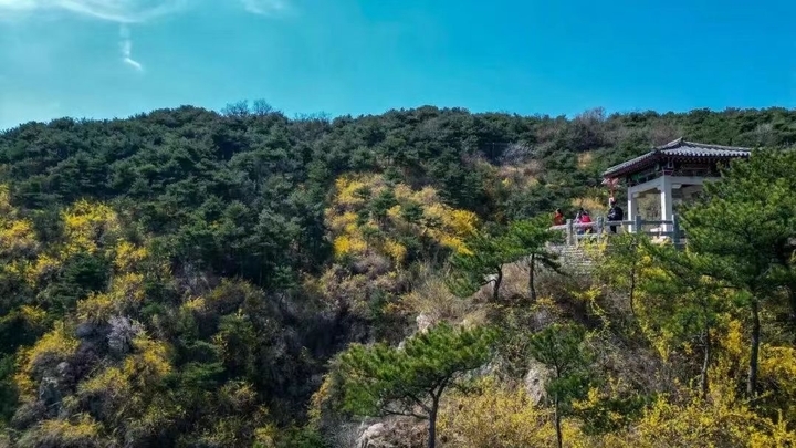 泉在济南过五一丨50余项活动，济南春日踏青出游指南发布！