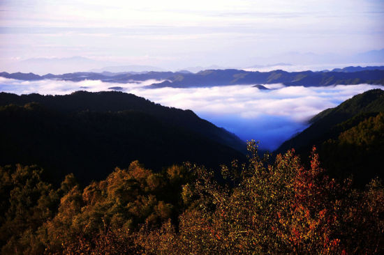 关山牧场