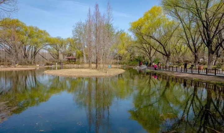 泉在济南过五一丨50余项活动，济南春日踏青出游指南发布！