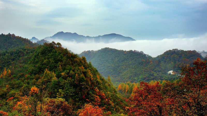 陕西这7个美爆的景区五一免费了!(附出行攻略)