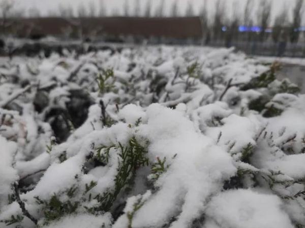 陕西发布最新预报：大雪，局地暴雪！
