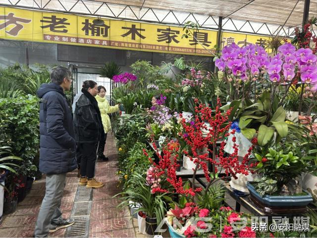 河南安阳：“福气暖暖安阳年”之古城市场购销旺 新年气息扑面来