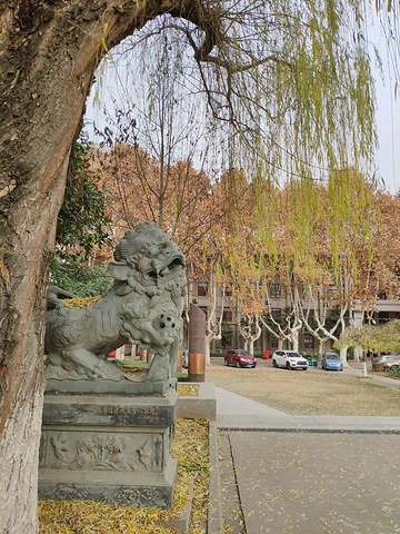 "西安交通大学是我到西安逛的第一个景点。它有个有趣的花名，“不挂女神”_西安交通大学(兴庆校区)"的评论图片