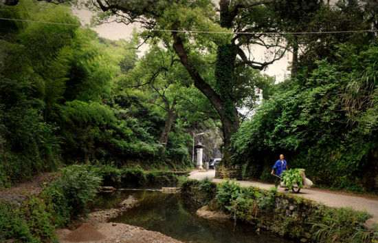 芹川村