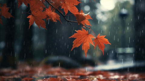 10月12日湖南江西天气 湖南局地小雨江西多地降雨