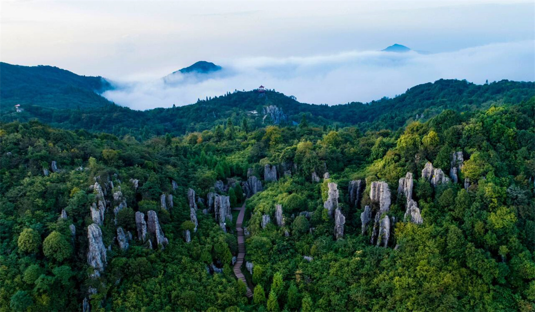 华蓥山旅游区石林.jpg