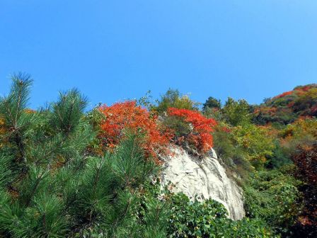 翠华山绚丽秋景