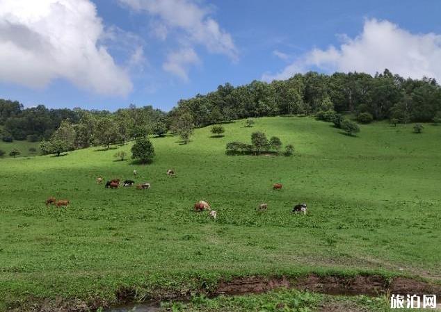 关山草原到大水川最佳路线