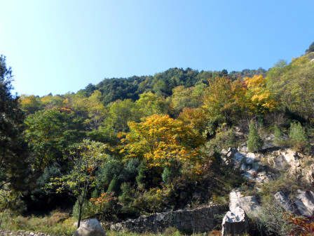 翠华山绚丽秋景