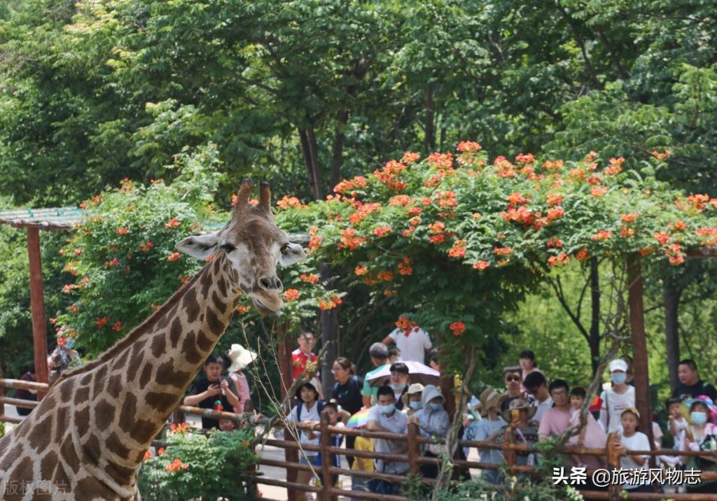 山东旅游景点大全景点排名（10个山东游玩必去的地方）