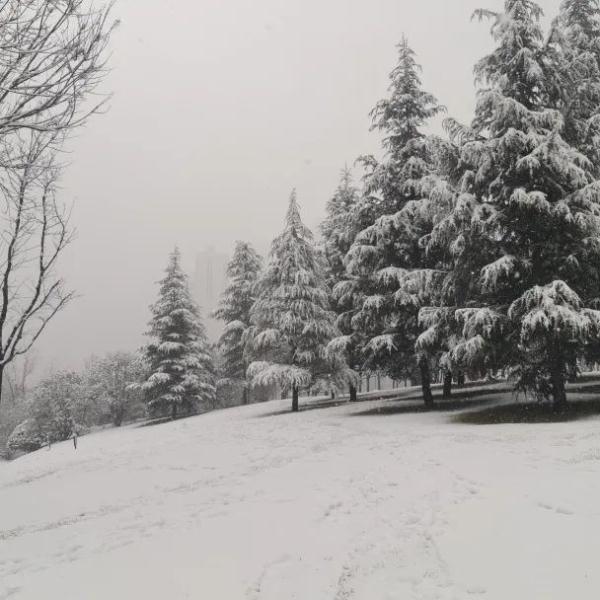 抓紧晒被子 西安新一轮雨雪将至