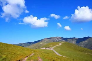 五台山 ,一个想到抵达的信仰之地