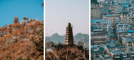 图片.png