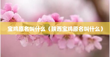 宝鸡原名叫什么（陕西宝鸡原名叫什么）