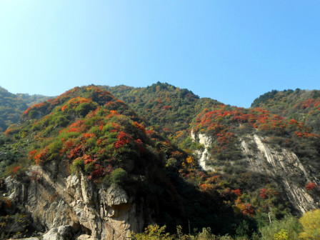 翠华山绚丽秋景