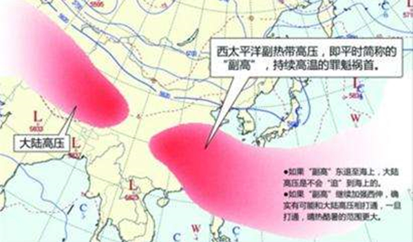 副高_副本.jpg