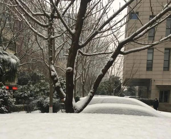 就在明天，正式进入！陕西发布重要天气报告，局地暴雪！