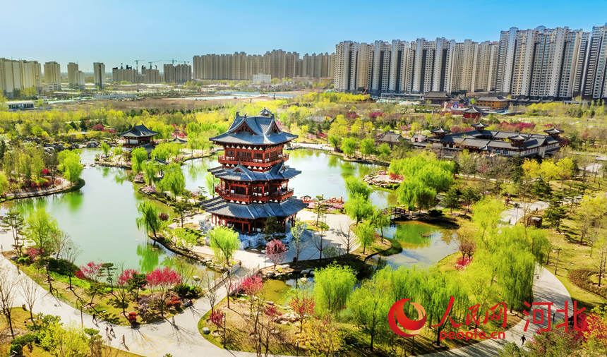 定州市众春园。人民网记者周博摄