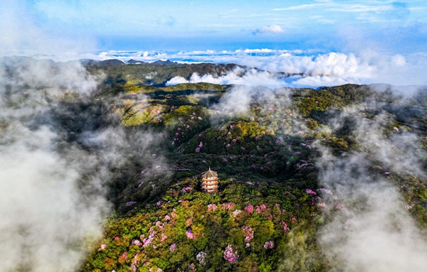 南川金佛山景区。景区供图