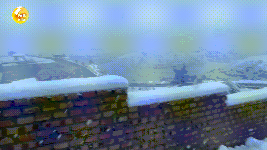 陕西发布最新预报：大雪，局地暴雪！