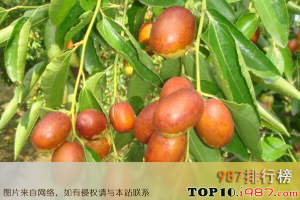 十大天津知名特产之静海金丝小枣